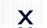Company X Logo